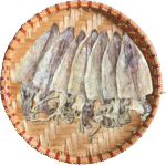 Mực size 14 15 con