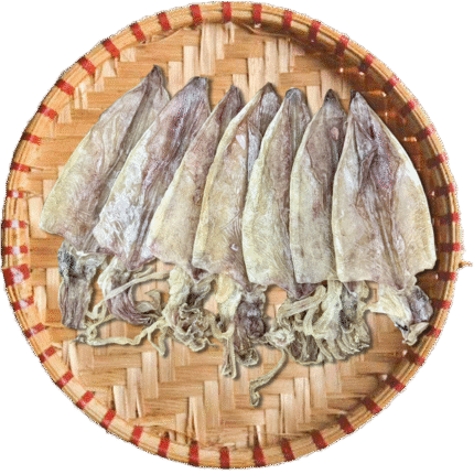 Mực size 14 15 con