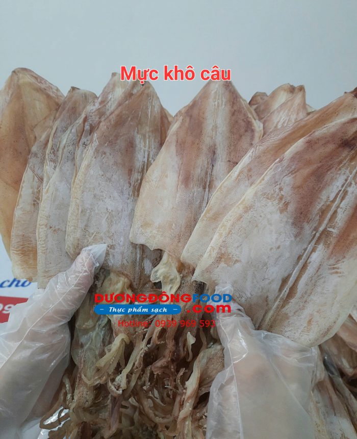 Z6064107102898 3cbf3feaa1eb75aae048c12e76479b51