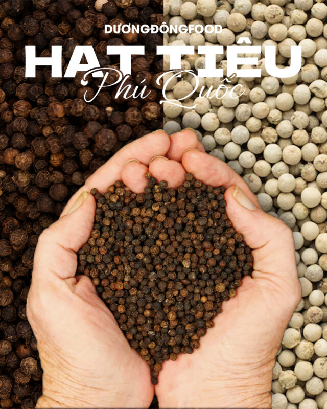 Hạt tiêu phú quốc 1
